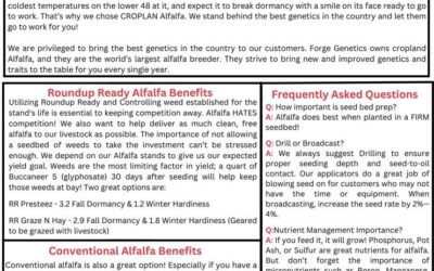 December 2024 WeedRead