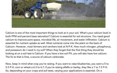 February 2025 WeedRead