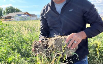 November 2024 WeedRead: Planning for the Next Growing Season