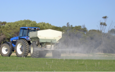 February 2025 WeedRead: Calcium—The Foundation of Soil Health and Productivity